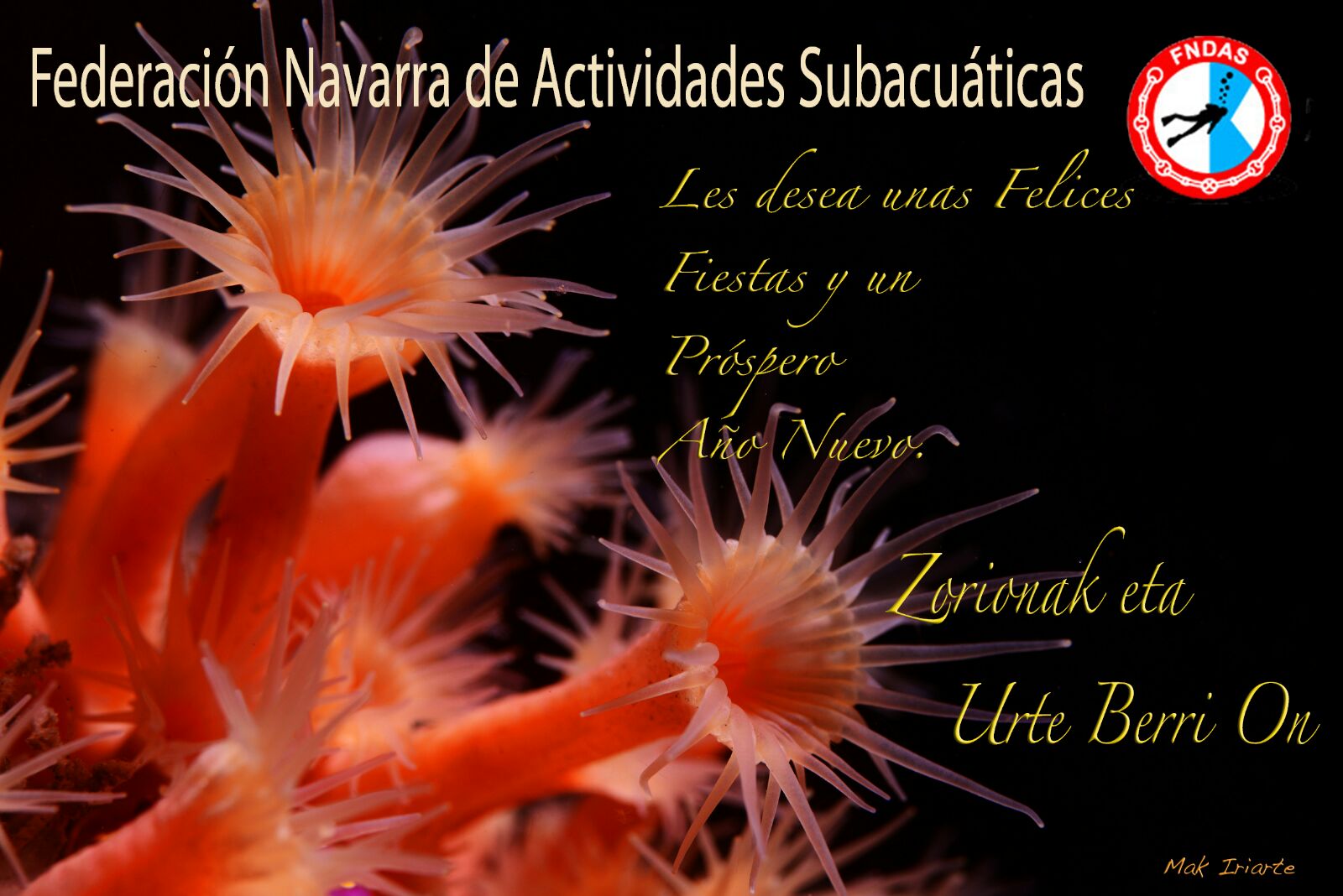 &iexcl;Felices Fiestas y Pr&oacute;spero A&ntilde;o Nuevo!